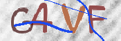 Imagen CAPTCHA