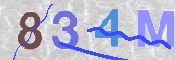 Imagen CAPTCHA